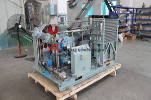 Compressor industrial do gás do CO2 do ar do laser para a cerveja